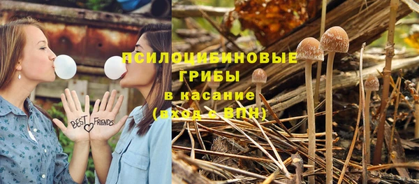 тгк Ельня