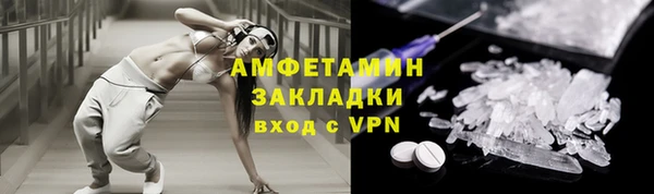тгк Ельня