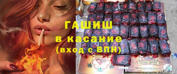 тгк Ельня