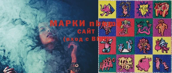 тгк Ельня