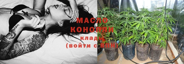 тгк Ельня
