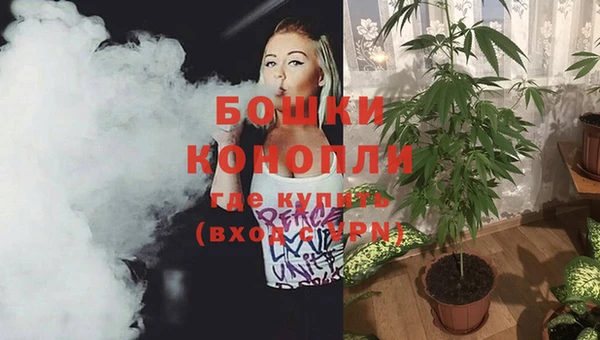 спайс Елизово