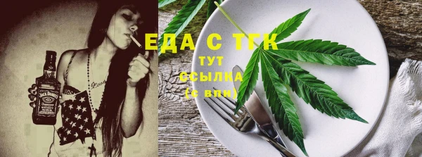 тгк Ельня