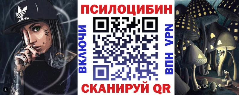 Псилоцибиновые грибы Cubensis  купить закладку  Пересвет 